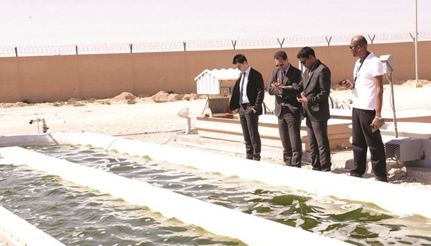 QU currently operates an algae testing plant in Al Khor for its Algal Technologies Programme.