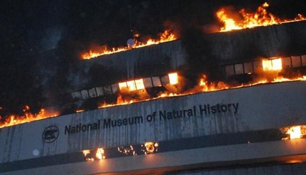 Natural history museum fire