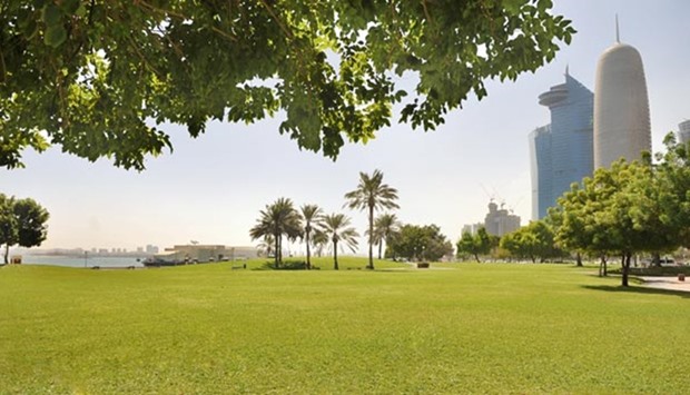 Grasses of various types are being grown at a research and development centre in Doha. Pictured is the Sheraton park.