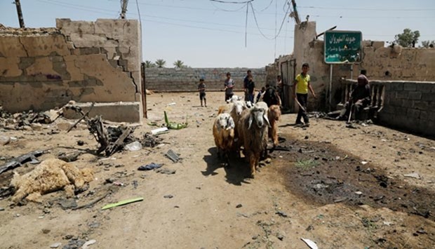 A youth leads a herd of sheep past the site of a suicide bomb attack in a southeastern suburb of Baghdad on Saturday.