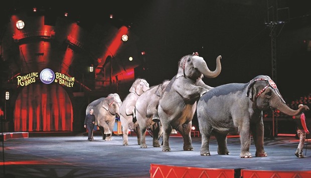 Elephants perform during Ringling Bros and Barnum & Bailey Circusu2019 u2018Circus Extremeu2019 show at the Mohegan Sun Arena at Casey Plaza in Wilkes-Barre, Pennsylvania.
