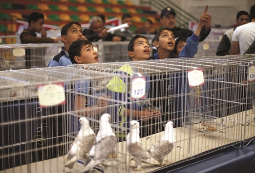 Palestinian boys look at birds during a show organised by local breeders in Gaza City.