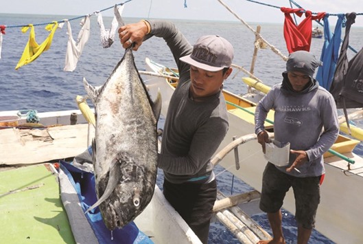 A Philippine fisherman prepares to weigh a fish at the disputed Scarborough Shoal.