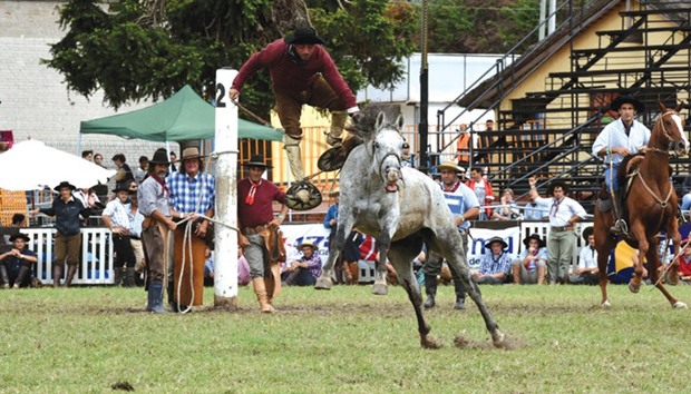 A gaucho rides a bucking colt during the traditional Semana Criolla in Montevideo yesterday.