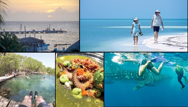 TOP LEFT: Whale Shark Pier, Isla Holbox.  TOP RIGHT: After swimming with whale sharks, a boatload of tourists visits an undeveloped beach.  BELOW LEFT: Yalahau, a freshwater spring with bracingly cool water, is part of many boat tours around Isla Holbox, Mexico.  BELOW CENTRE: Milpa, an ambitious restaurant, opened in early 2016 on Isla Holbox. Dishes include this octopus plate.  BELOW RIGHT: In the waters near Isla Holbox, snorkellers swim alongside whale sharks, which are considered the largest fish on earth.