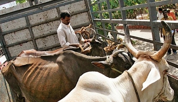The slaughter of cows and consumption of beef is banned in most Indian states.