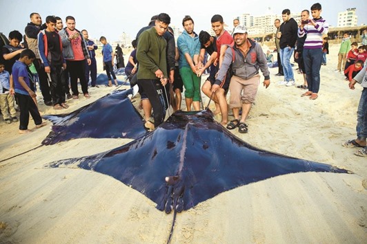 Gulf Times