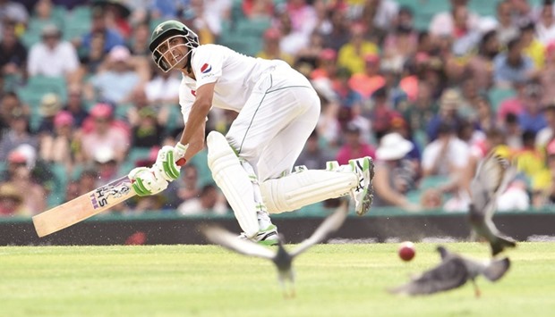 This file photo shows Pakistanu2019s batsman Younis Khan playing a shot against Australia past pigeons during the second day of the third cricket Test match at the SCG in Sydney.