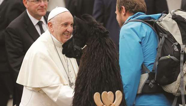 Pope Francis greets one of the men who came with a llama to Saint Peteru2019s Square at the Vatican.