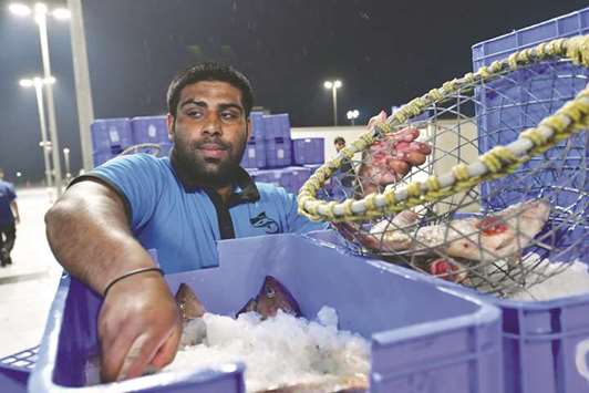 Mohammed Arsalan, also known as Kala Pehlwan, works at the fish market in Dubai.