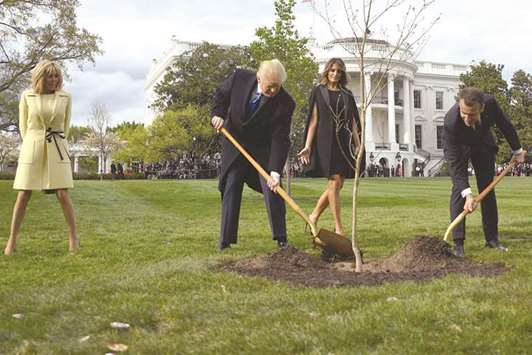 US President Donald Trump and French President Emmanuel Macron plant a tree watched by Trumpu2019s wife Melania and Macronu2019s wife Brigitte on the grounds of the White House in Washington,DC. The tree, a gift from French President Macron, comes from Belleau Woods, near the Marne River in France, where in June 1918 US forces suffered 9,777 casualties, including 1,811 killed in the Belleau Wood battle during World War I.