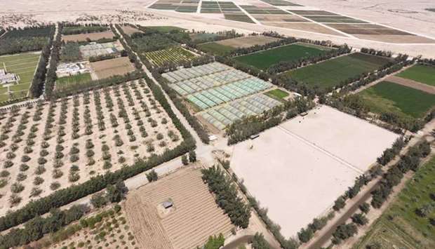 A view of a farm owned by Qadco, one of the largest vegetable and fruit producers in Qatar.