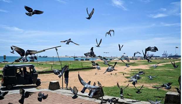 A Sri Lankan man drives a three-wheel taxi as pigeons take a flight in Colombo