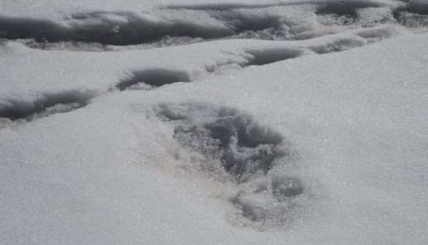 Yeti' footprint sighted, claims Indian army