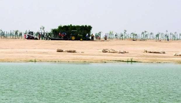 The artificial lake at the $3.65bn Doha North Sewage Treatment Works plant at Umm Slal Ali. File picture: 2016 November 23.