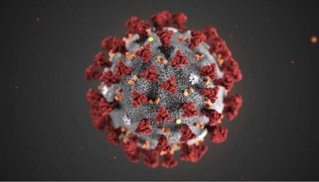 FOCUS: This illustration provided by the Centers for Disease Control and Prevention in January 2020 shows the 2019 Novel Coronavirus. This virus was identified as the cause of an outbreak of respiratory illness first detected in Wuhan, China.