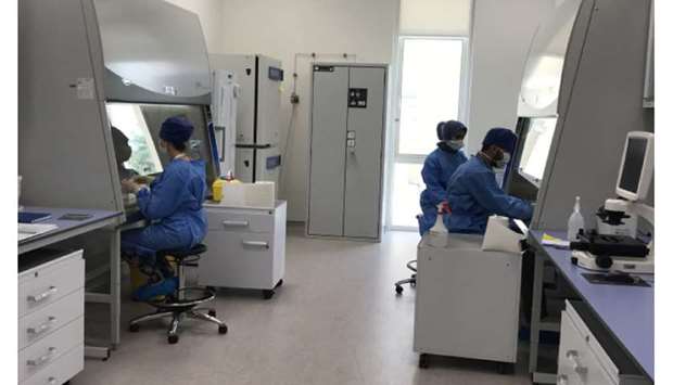 EVMC staff working in the stem cell laboratory.