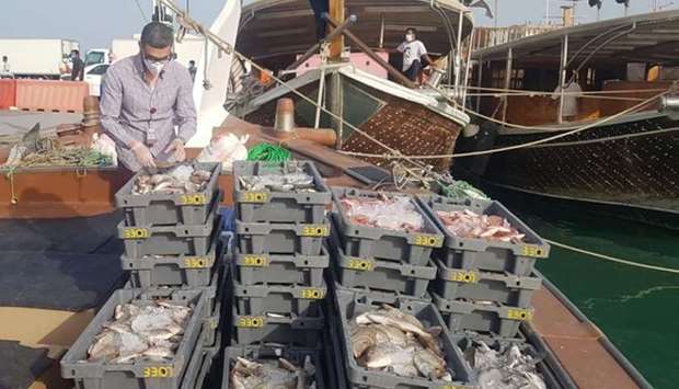 Inspection of fish at harbours