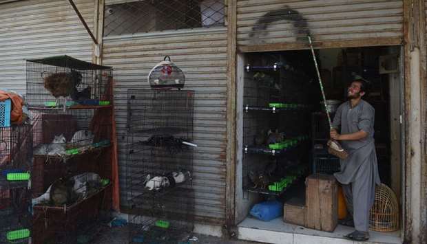 This photo taken on April 1 shows a vendor closing his shop in Karachi after feeding his animals.