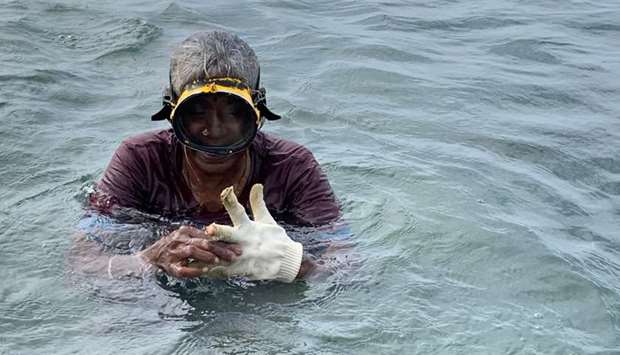 A seaweed harvester off the coast of Ramanathapuram, India.