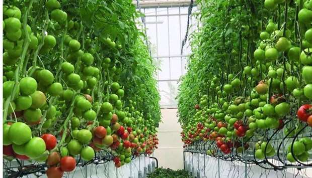 Under the agreement, CSE and Hassad commit to supporting mutually agreed research projects in the fields of relevance to Hassad Food.