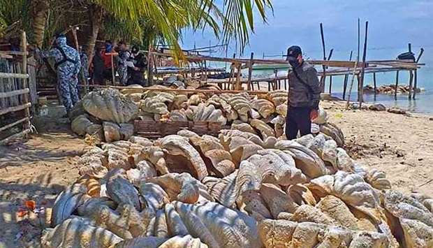 Coast guard personnel inspecting seized giant clam shells, weighing a total of 200 tonnes and worth some 25 million USD, on Green island in Roxas town, Palawan province. AFP/Plilippine Coast Guard