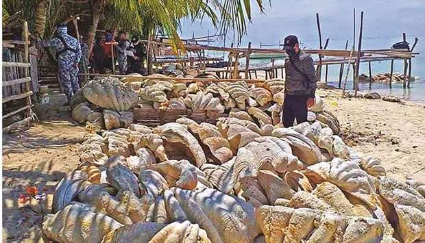 This handout photo received from the Philippine Coast Guard yesterday shows coast guard personnel inspecting seized giant clam shells, worth some $25mn, on Green island in Roxas town, Palawan province.