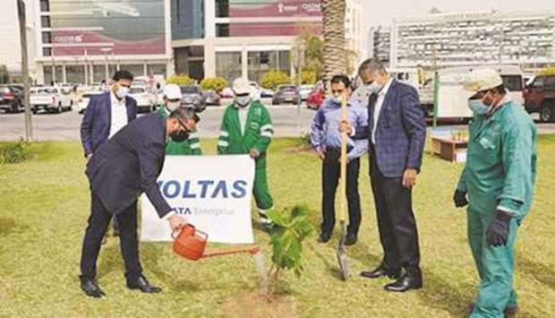 As part of the initiative to plant one million trees, the Ministry of Municipality and Environment (