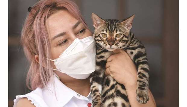 Nutch Prasopsin, owner of Facebook fan page u201cKingdom of Tigersu201d, holds one of the pedigree cats which were confiscated as live assets in a drug bust case, after winning an auction at an animal shelter in Rayong province, yesterday.