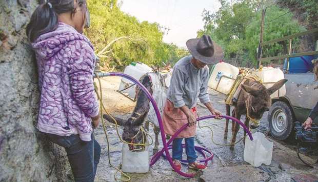 Donkeys drink water while the owner fills containers from a public water pump to take them home, in Santa Cruz Acalpixca of Mexico Cityu2019s Xochimilco mayorality.