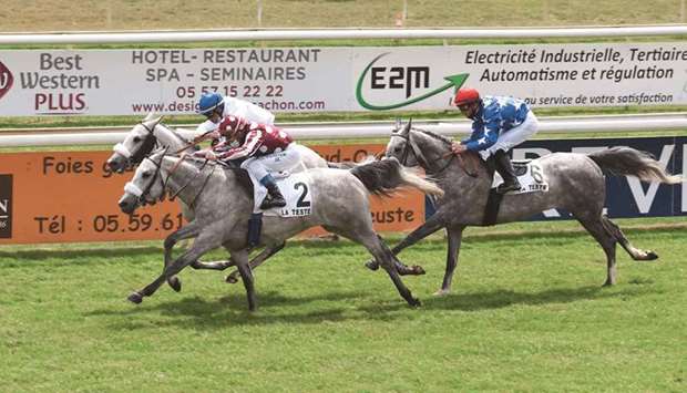 Olivier Peslier (foreground) rides Abbes to victory in the Sheikh Mansour Festival u2014 Prix Dormane (Group 3 PA) at La Teste-de-Buch in France. (Robert Polin)