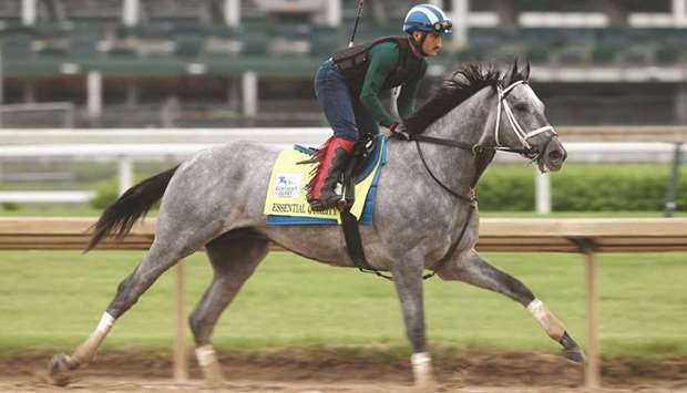 Essential Quality runs on the track during training for the Kentucky Derby at Churchill Downs in Louisville, Kentucky.