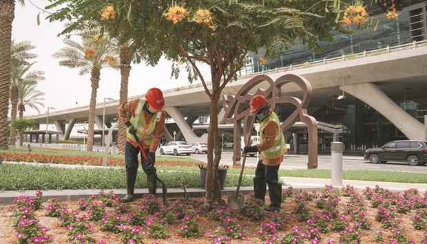 Organic compost is being used at the airport as fertiliser for landscaping, reducing the use of synthetic chemical fertilisers and its risks.