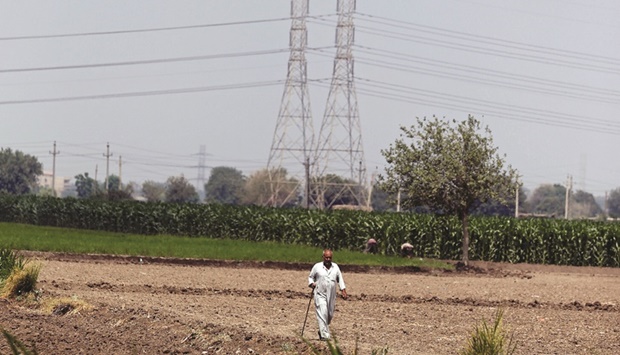 A farmer walks beside electricity pylons near an agricultural road which leads to Cairo (file).