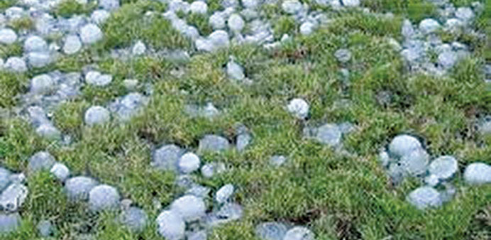 Since the hailstorm began on February 28, the entire rabi crop on 1.6mn hectares of land in 17 districts has been destroyed.