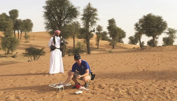 Falconer Hendri Du Toit prepares a drone quadcopter with bird meat bait attached via a parachute on a string to train the birds to hunt, in the Dubai Desert Conservation Reserve.