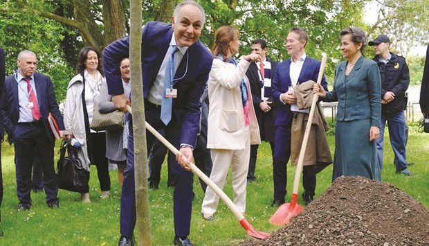 Moroccan Foreign Minister Salaheddine Mezouar (left) plants a tree next to French Environment minister Segolene Royal after the opening ceremony of the Bonn Climate Change Conference as part of the United Nations Framework Convention on Climate Change (UNFCCC) in Bonn yesterday.