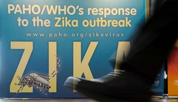Zika is transmitted mainly though the bites of infected mosquitoes.