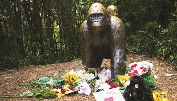 Flowers and tributes left yesterday around a bronze statue of a gorilla and her baby outside the Cincinnati Zoou2019s Gorilla World exhibit.