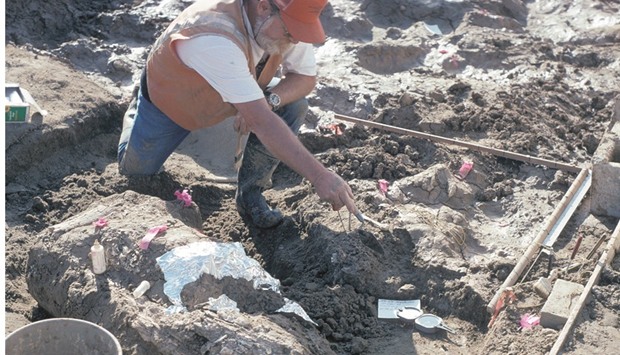 ROCK SOLID: San Diego Natural History Museum Paleontologist Don Swanson pointing at a rock fragment near a large horizontal mastodon tusk fragment.