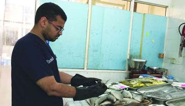An inspector examines fish during the campaign. 