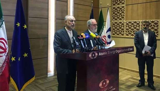 Iran's nuclear chief Ali Akbar Salehi speaks during a joint press conference with European Commissioner for Energy and Climate, Miguel Arias Canete, in Tehran on Saturday.