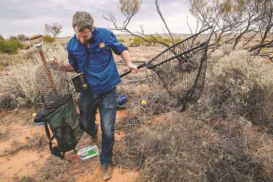 Researcher Hugh McGregor carrying monitoring gear at the Arid Recovery Reserve near Roxby Downs in South Australia.