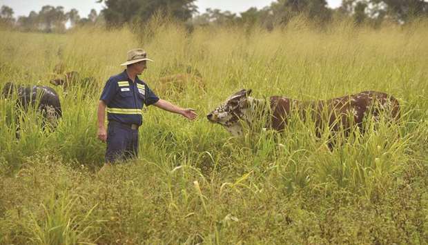Simon Mattsson, a farmer who is an expert in sequesting carbon in soil, in Central Queensland.