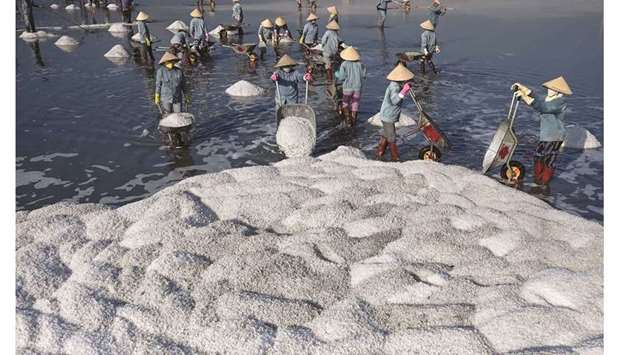 Workers harvesting salt in southern Vietnamu2019s Hon Khoi salt fields.