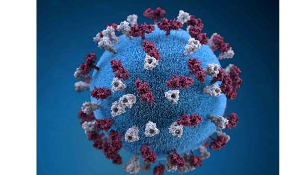 An illustration provides a 3D graphical representation of a spherical-shaped, measles virus particle studded with glycoprotein tubercles