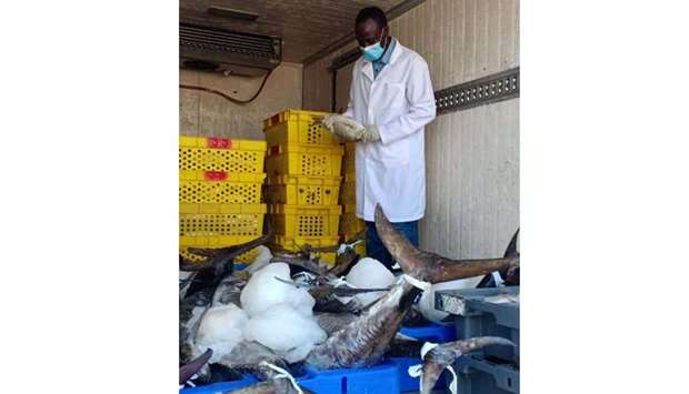 An inspector examines a consignment of fish