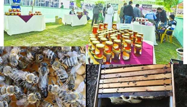 MME participates in World Bee Day celebrationsrnrn