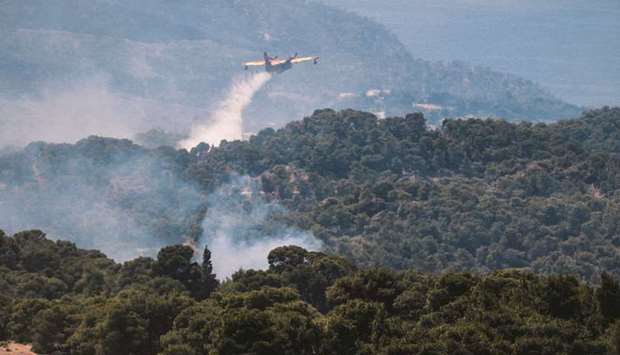 A firefighting airplane sprays water to extinguish a wild fire on Mount Geraneia, west of Athens, yesterday. (AFP)