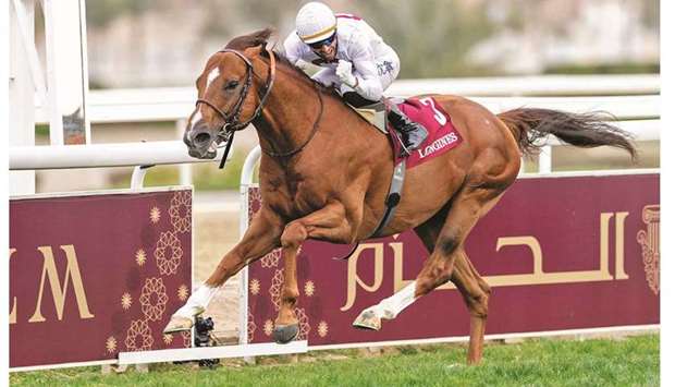 Leading Purebred Arabian horse Tayf.